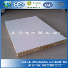 Möbel Grade 18mm Polyester Blockboard